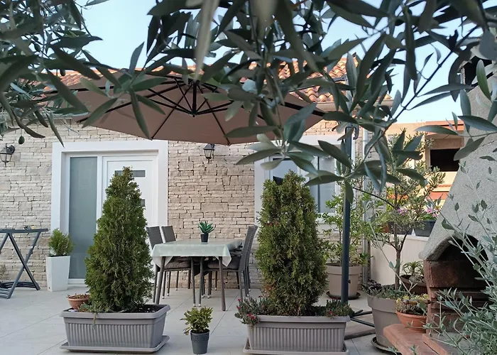 Mandi Apartment